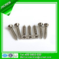 Especial personalizado aço inoxidável Flat Head Self Tapping Screw